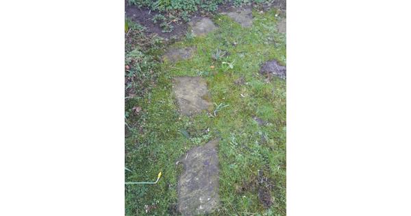 Flagstones