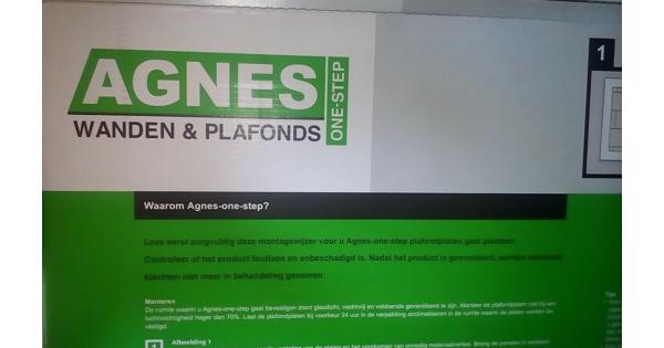 Agnes wand en plafond platen