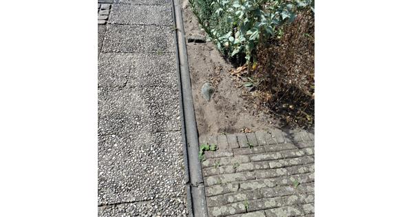afvoergoot of molgoot voor in bestrating