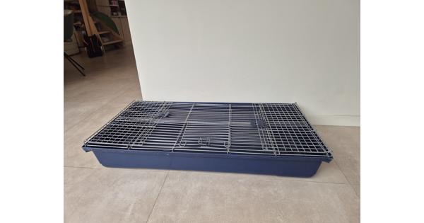 Caviakooi met blauwe bak