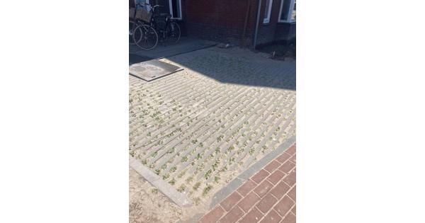 Bestrating oprit of terras