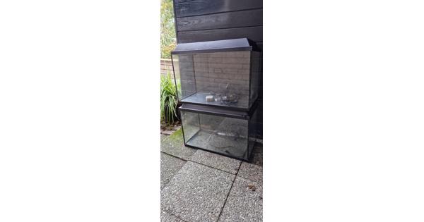 2 aquarium-/terrariumbakken