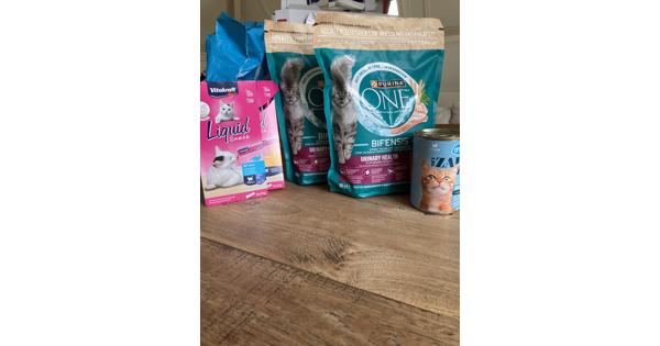 Verschillende soorten kattenvoer en snacks