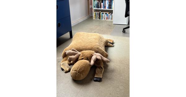 Grote elandknuffel