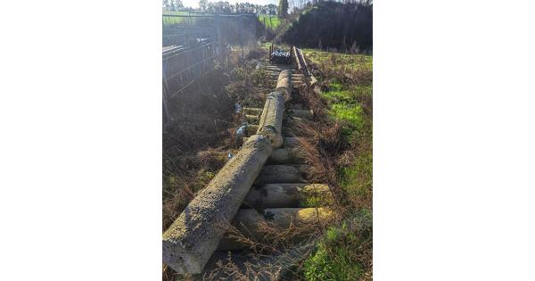 Ruwe gewapende betonpalen, 34 stuks