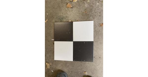 Tegels Sphinx 20x20 zwart en wit