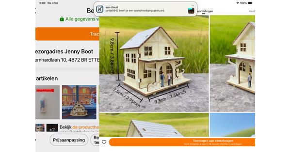 Miniatuurhuisjes van hout (modelbouw)