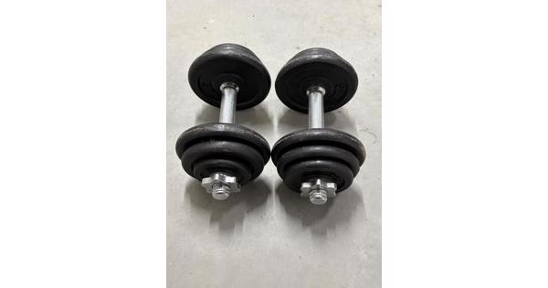 2 dumbbell gewichten