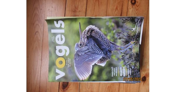 Vogelbescherming Vogels tijdschrift