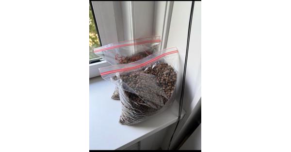 Voer 3kg wellness Core Grain Free Puppy 