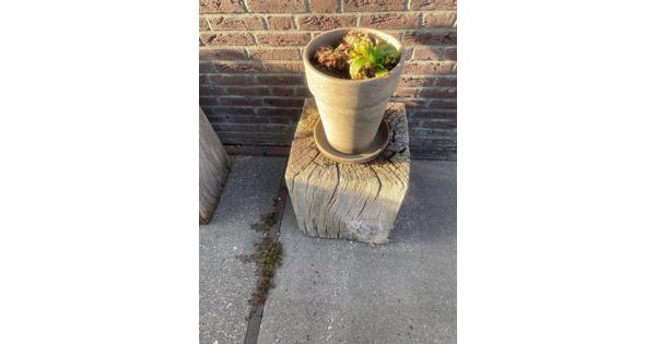 gratis eiken blokken met duddah beeld