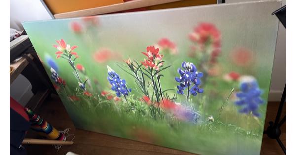 Groot canvas foto gras met bloemen 