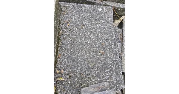 Gratis af te halen: 25m2 betonnen terrastegels wildverband