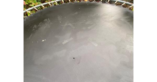 Trampoline (rond, 244 cm)