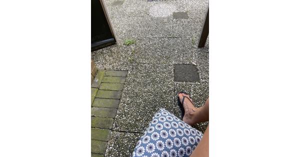 Gratis zelf eruit halen