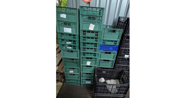 Plastic kratjes