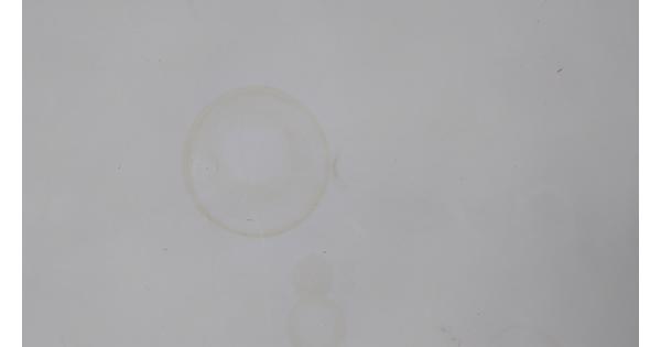 Grote witte tafel met x-poten (220 x 100)