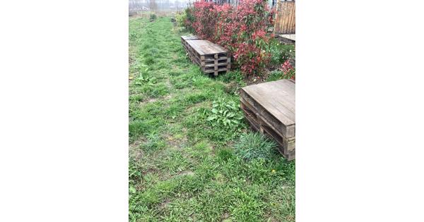 Dichte pallets