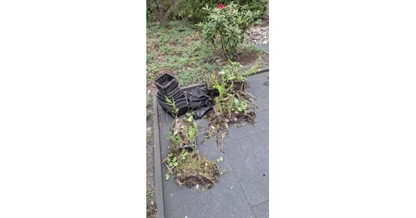 Pomp, bakken voor en met waterplanten