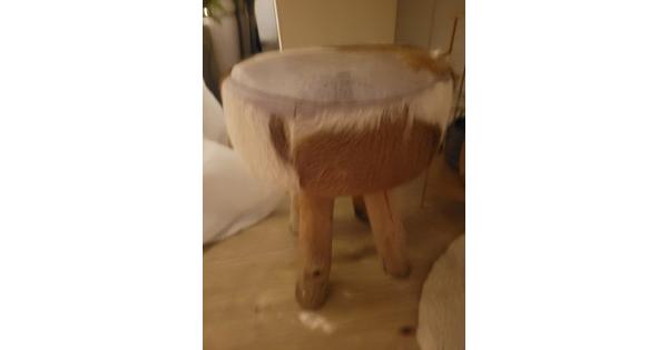 Stevige kruk (kale) geit 