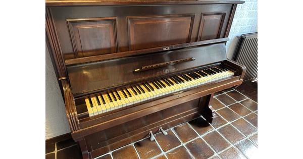 Piano rich LIPP sohn