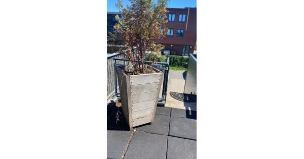 4 gevulde plantenbakken; ook leuk voor schoolplein, verzorgingshuis e.d.