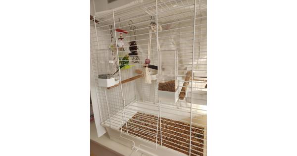 Parkietje aangeboden