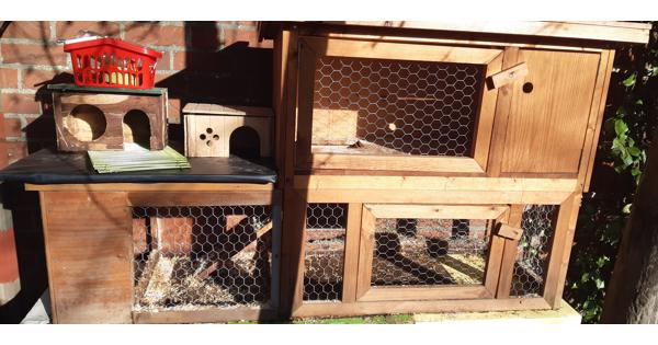Cavia/konijnen hok incl toebehoren
