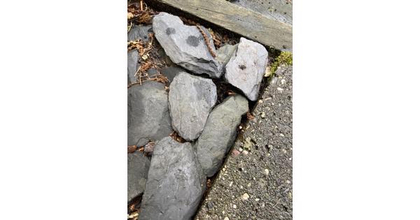 Canadian slate siersteen - 12 bigshoppers vol