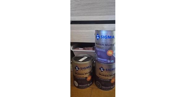 Sigma muurverf 3x 5 liter