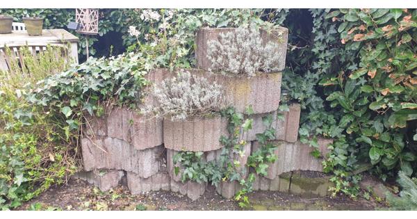 13 stuks holbolle betonnen plantenbakken