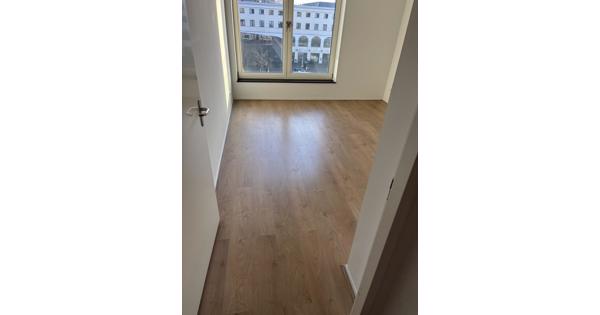 Laminaatvloer (verwijderen en ophalen