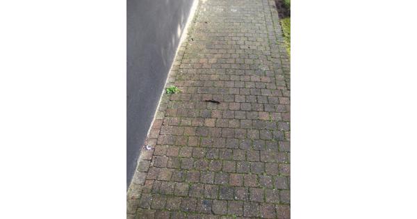 Koppelstones