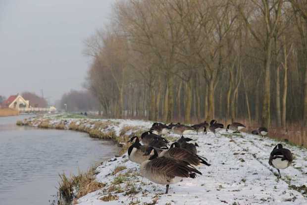 Budgetvriendelijke hobby's om de winter door te komen